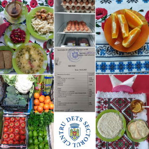 Monitorizarea procesului de alimentație în IET nr.60 din sectorul Centru.